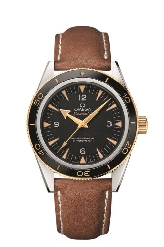 Omega Seamaster 300 Master Co-Axial Steel Stainless Steel / Yellow Gold / Black / Strap